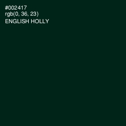 #002417 - English Holly Color Image